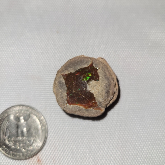 Extremely Rare Natural Jewelry Grade Raw Chocolate Ethiopian Wollo Welo Opal - Picture 3 of 5